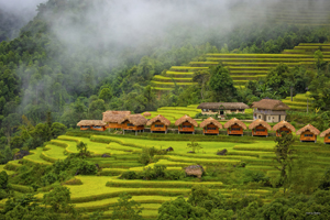 Ecolodge-in-Vietnam
